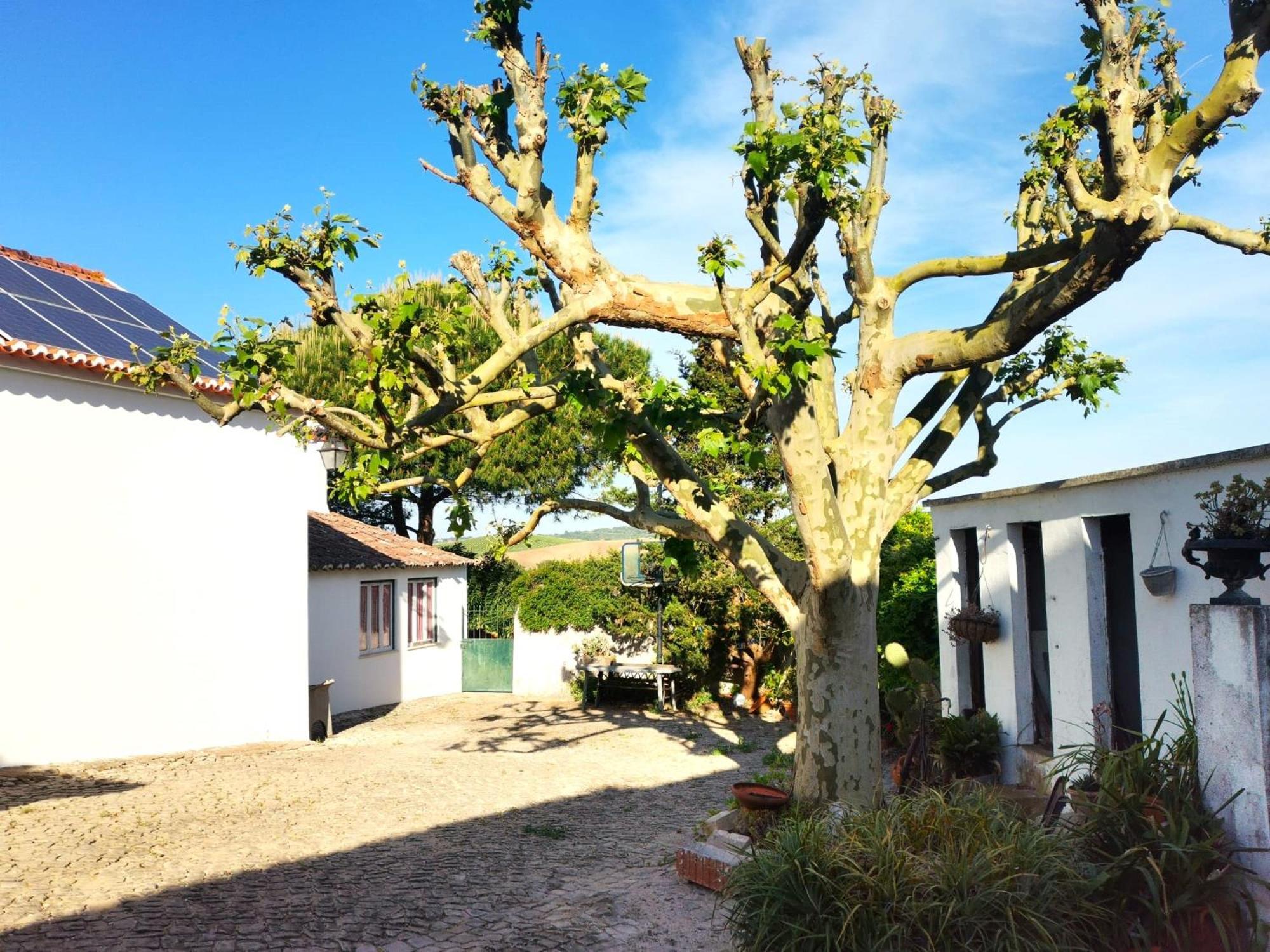 Quinta Santo Antonio *