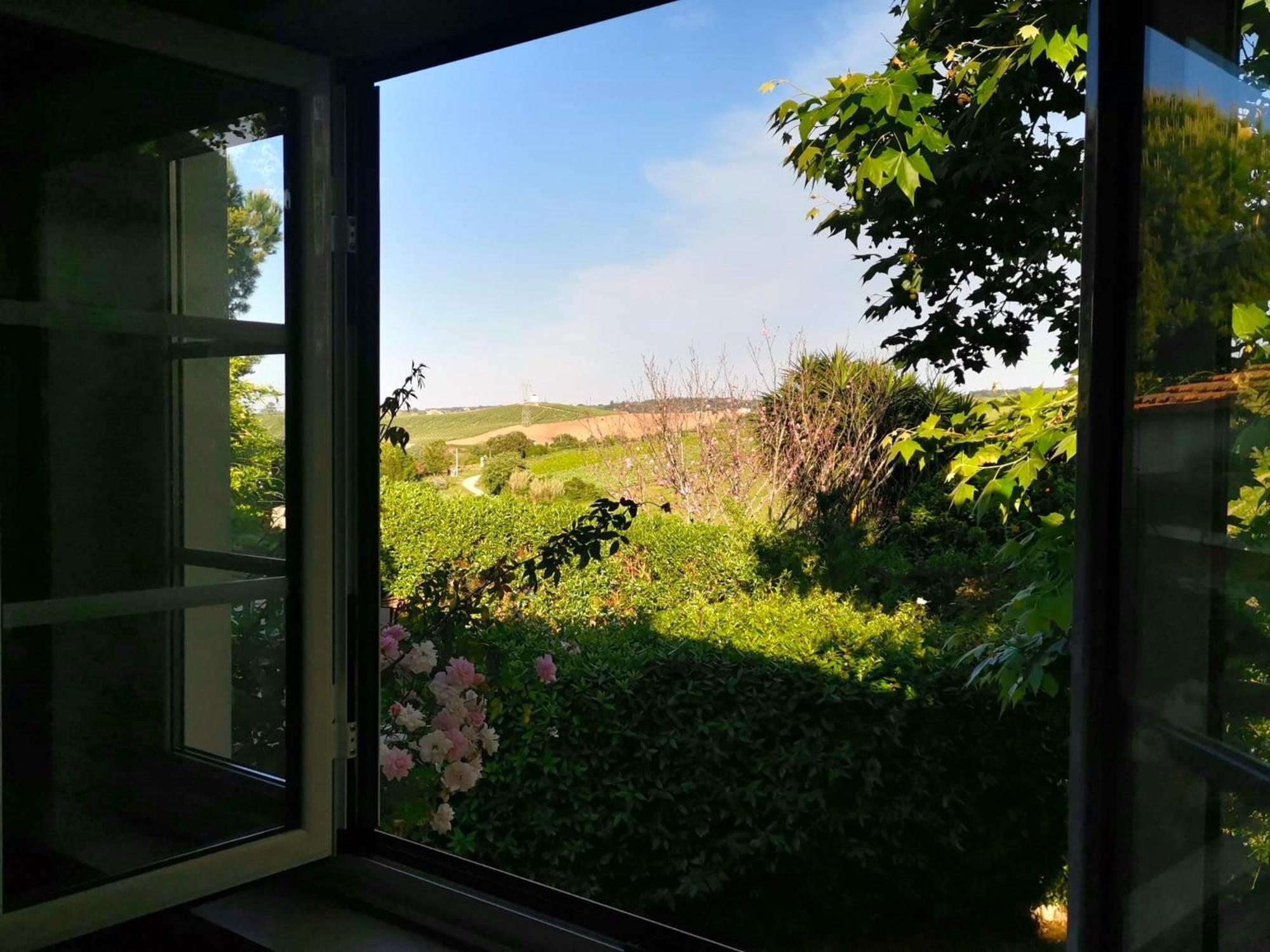 Quinta Santo Antonio Lodge Pereiro da Palhacana