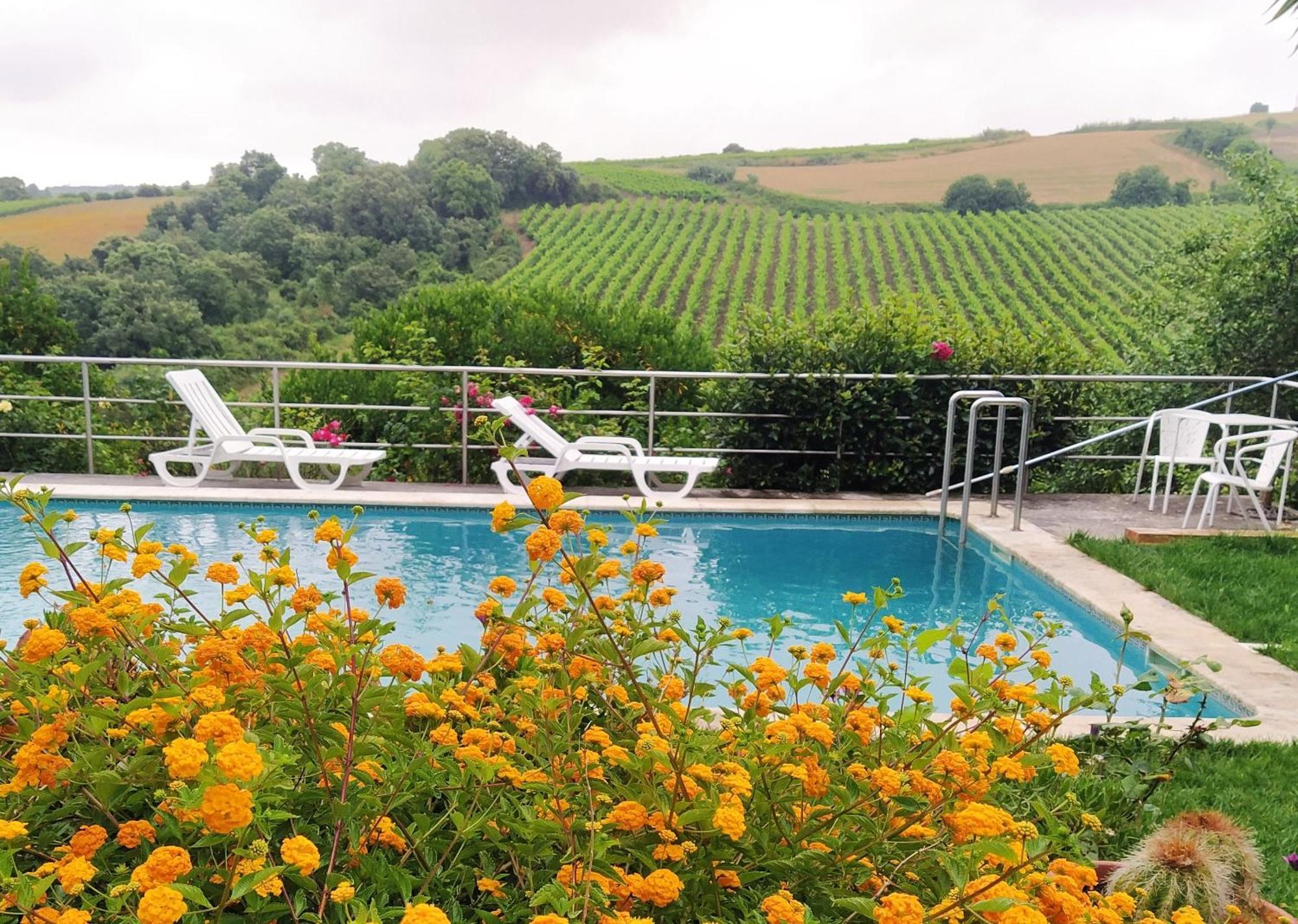 Quinta Santo Antonio Lodge *